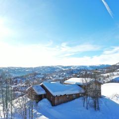 Solrik og flott hytte i Havsdalen