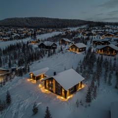 Vinterdröm Idre Himmelfjäll