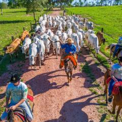 Pousada Pantanal Experiência