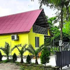 Yellow chalet 021.