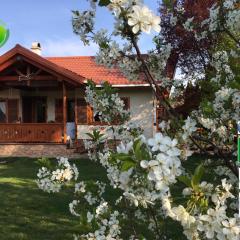 Mezőkövesd - Zsóry SAKURA apartmán