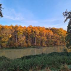 Domaine des Aulnaies - Beauval - Mareuil sur Cher