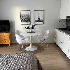 Studio VIP - close to airport and Tikkurila train station