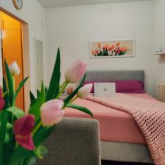 Apartman Lenka