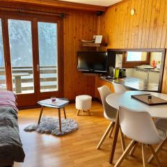 Appartement Chalet France