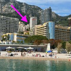 Luxury Tenao Palace, Monaco border, sea view