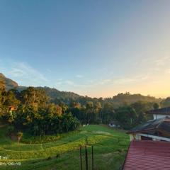 NSM Wedding hall and guest house