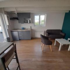 Bel appartement à 2 pas du CHU