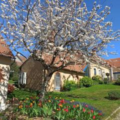 Grande maison avec garage et jardin clôturé - 6pers