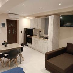 Newly renovated apartment next to the port