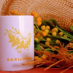 La Mimosa