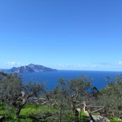 La finestra su Capri