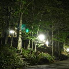 Yato Furusato Forest - Vacation STAY 21067v