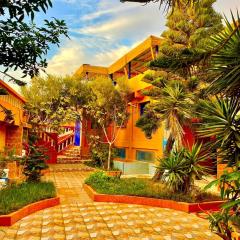 Surf & Salsa Ocean House