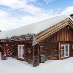 Pet Friendly Home In Røros With Kitchen