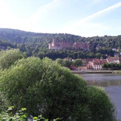 Ferienwohnung Neckarblick