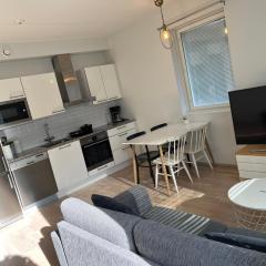 Riverside cozy flat in Porvoo