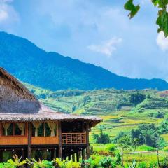 Ngũ Chỉ Sơn Trekking Sapa