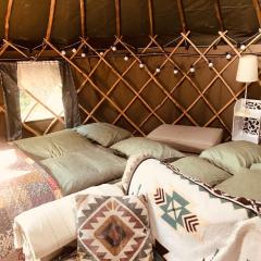 Yurt Between Lilac and Fuchsia