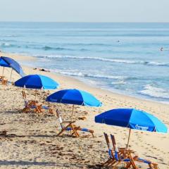 Life's a Beach