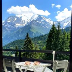 Appartement Saint Gervais les Bains piscine et vue imprenable Mont Blanc
