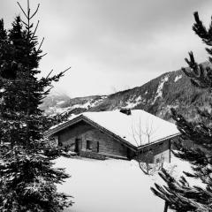 Chalet le Réconfort, accès skis aux pieds