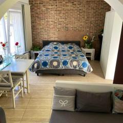 Studio with furnished terrace and wifi at Charleroi