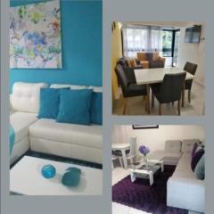 Apartamentos Amoblados Laureles Estadio Medellin Casa Margarita