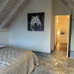 Entspannen, ruhige Maisonette Dachwohnung