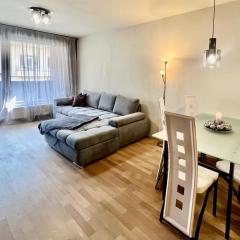Luxury Apartment in Prague and FREE Parking