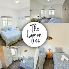 The Lemon Tree Hostel