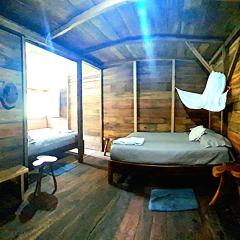 Rainforest Hut