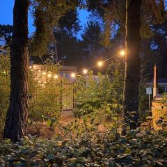 Tiny House met Hottub op de Veluwe