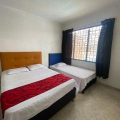 Hostel Flandes tu sitio