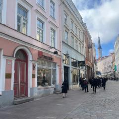 Antique Aparment In Old Town