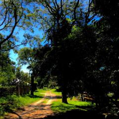 Cabaña Las Moras