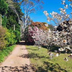 Annies Barn, Fitzroy Falls