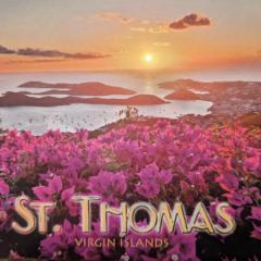 Mountain Top Condo, St. Thomas USVI