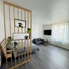 Modern Studio Apartment in Riga