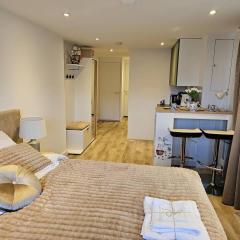 One bedroom apartement with terrace and wifi at Lisse