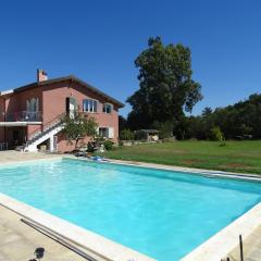 L'Ulivo