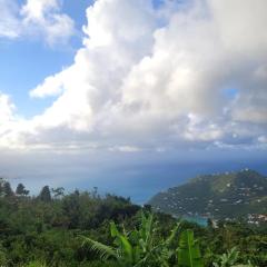 Sage Mountain Skyway, Comfortable One Bedroom in Sage Mountain, Tortola