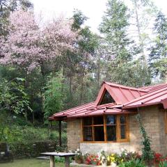 Snow View Cottage Kasardevi