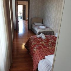 Guest house Nano