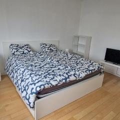 Bright and cozy room close to airport moyen
