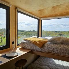 Tiny House au milieu des Vignes