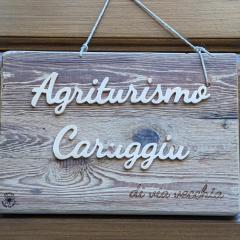 Agriturismo Caruggiu di via vecchia