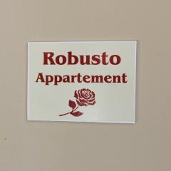 Robusto apartment