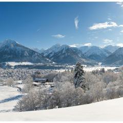 Oberstdorf dream view - Alpine star