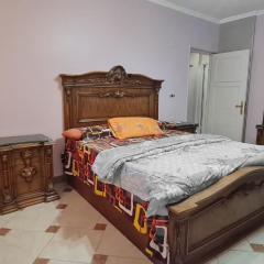 Comfy 2 Bedrooms Apartment in Cairo 98-5